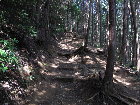 20150929hike (59)